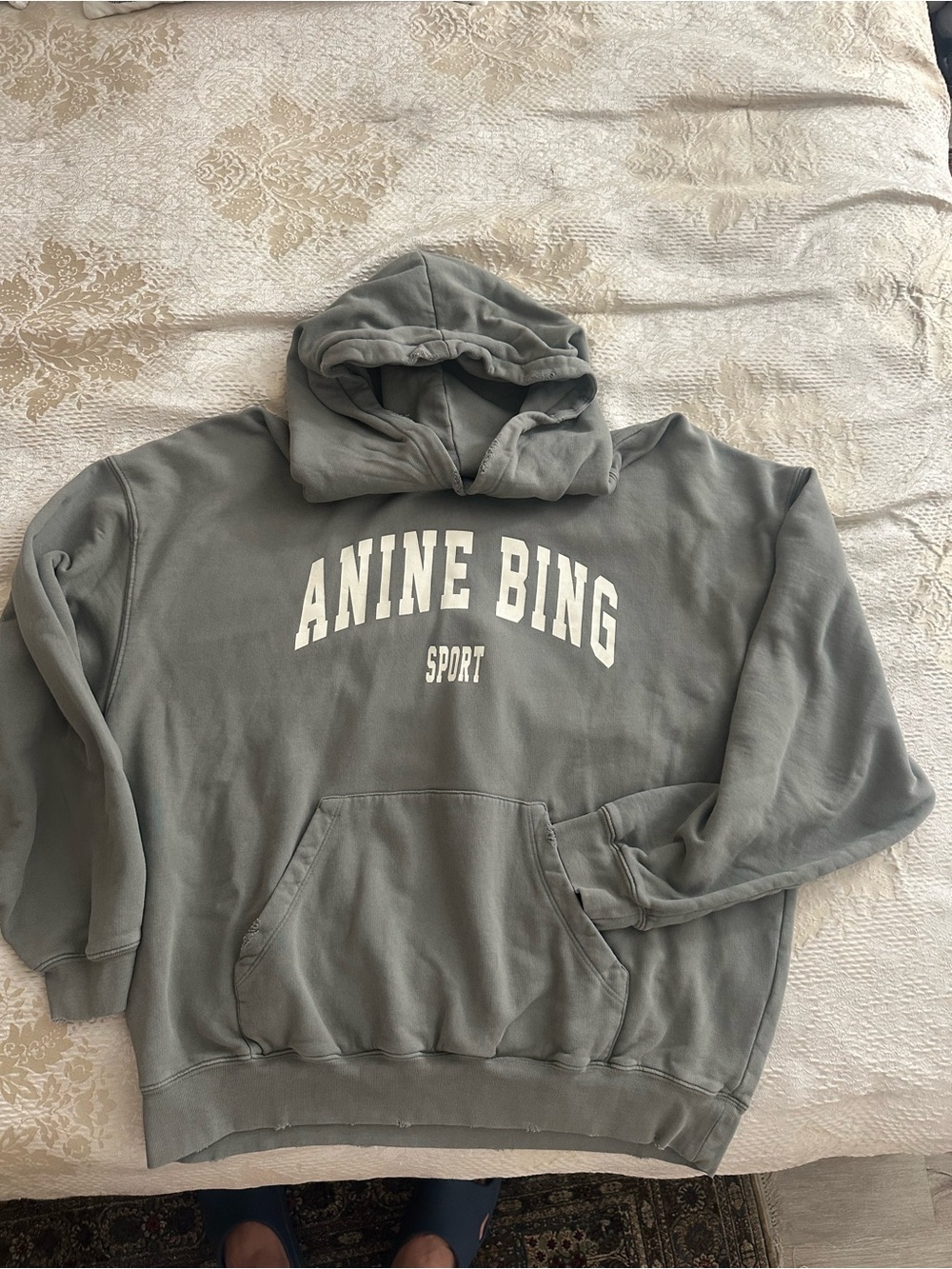 Anine Bing Oatmeal Sport Logo Hoodie - Picture 4 of 9